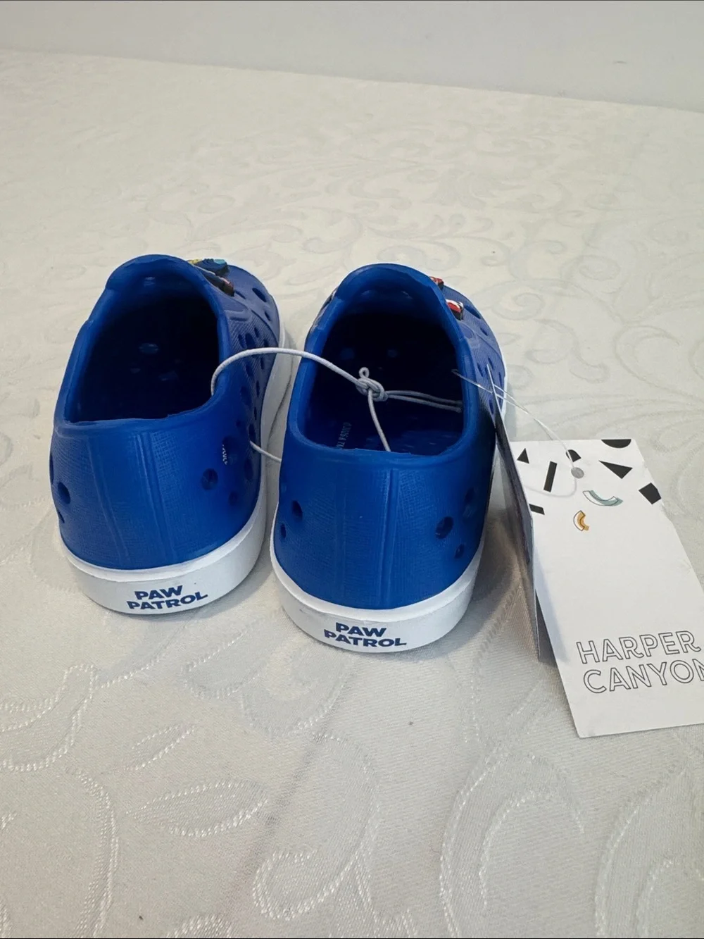 Harper Canyon Paw Patrol Mismatched Water Shoe